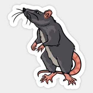 Rat Sticker